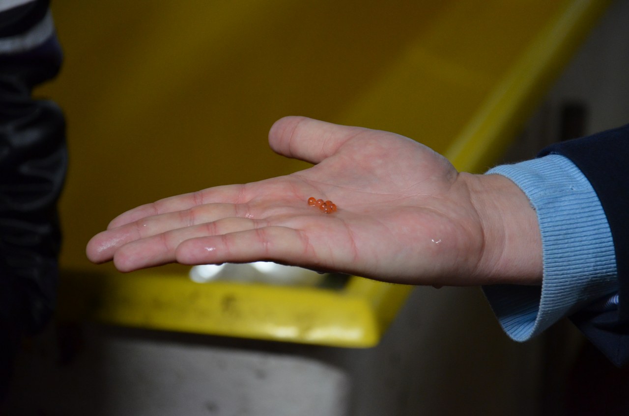 Exkurzia z predmetu Chov rýb